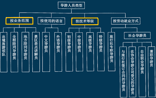 导游的类型